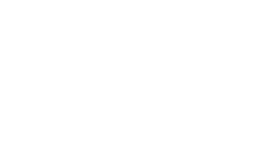 Logo white